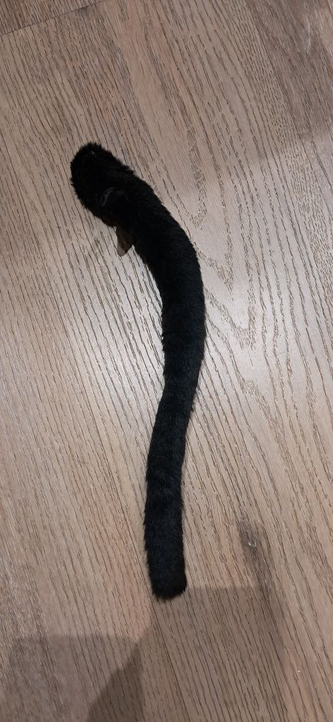Strój przebranie kostium Kot