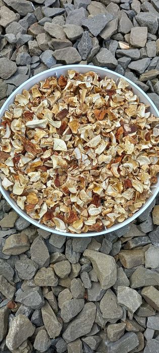 Borowik szlachetny suszony