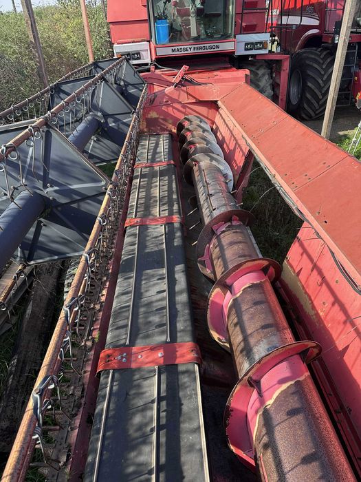 kombajn zbożowy Massey Ferguson MF 38