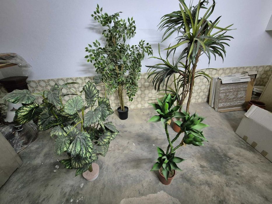 Planta plástico grande (3 plantas)