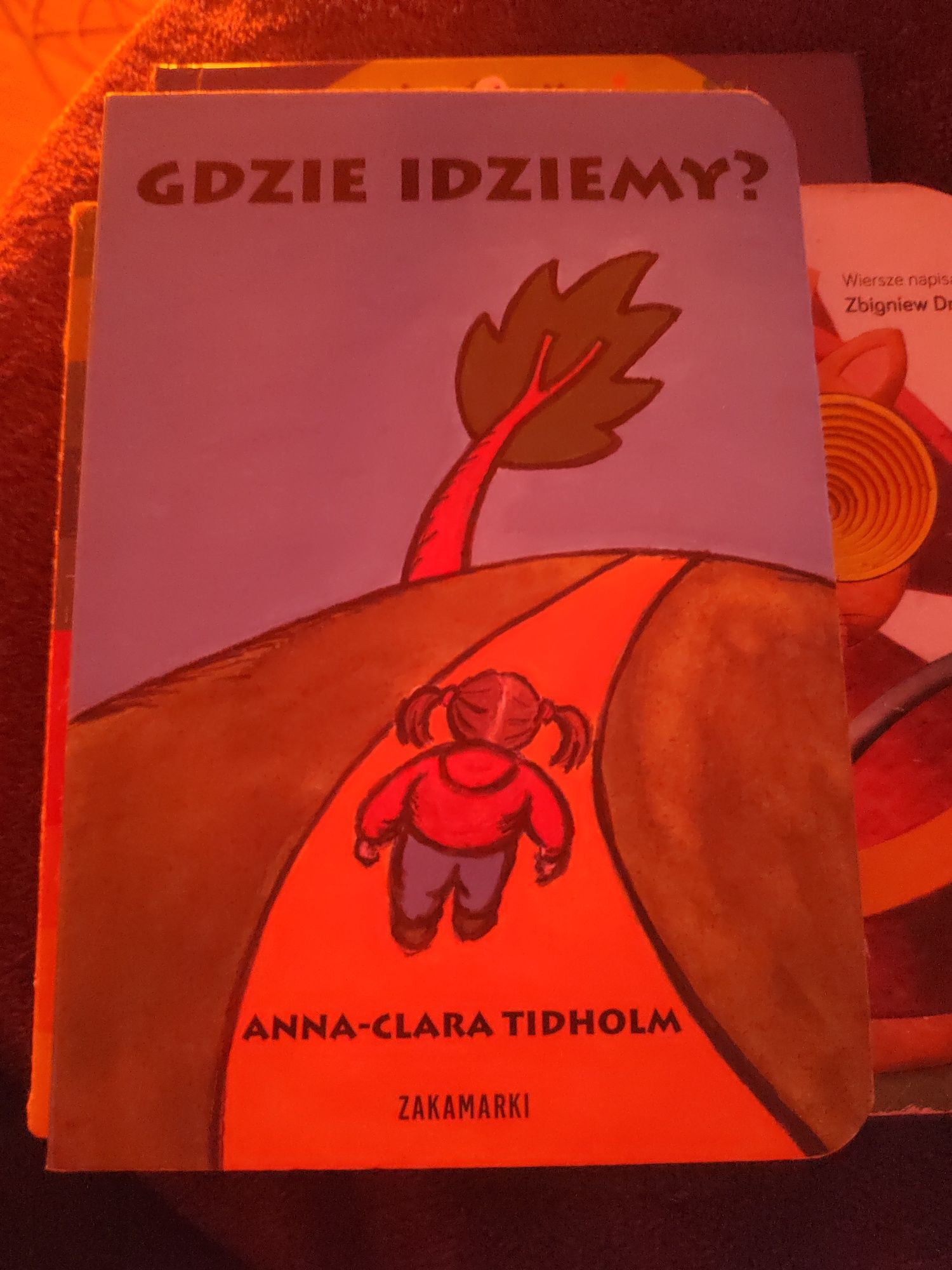 Książka dla dzieci "Gdzie idziemy" wyd. Zakamarki