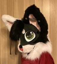 Fursuit na bazie od coverwithfurr