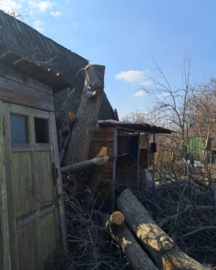 Спил деревьев, расчистка участка, демонтаж