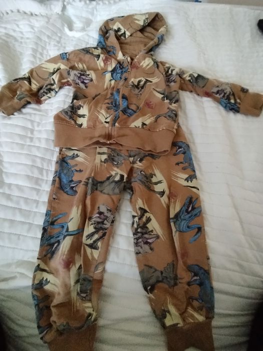 Dres z dinozaurami r.104