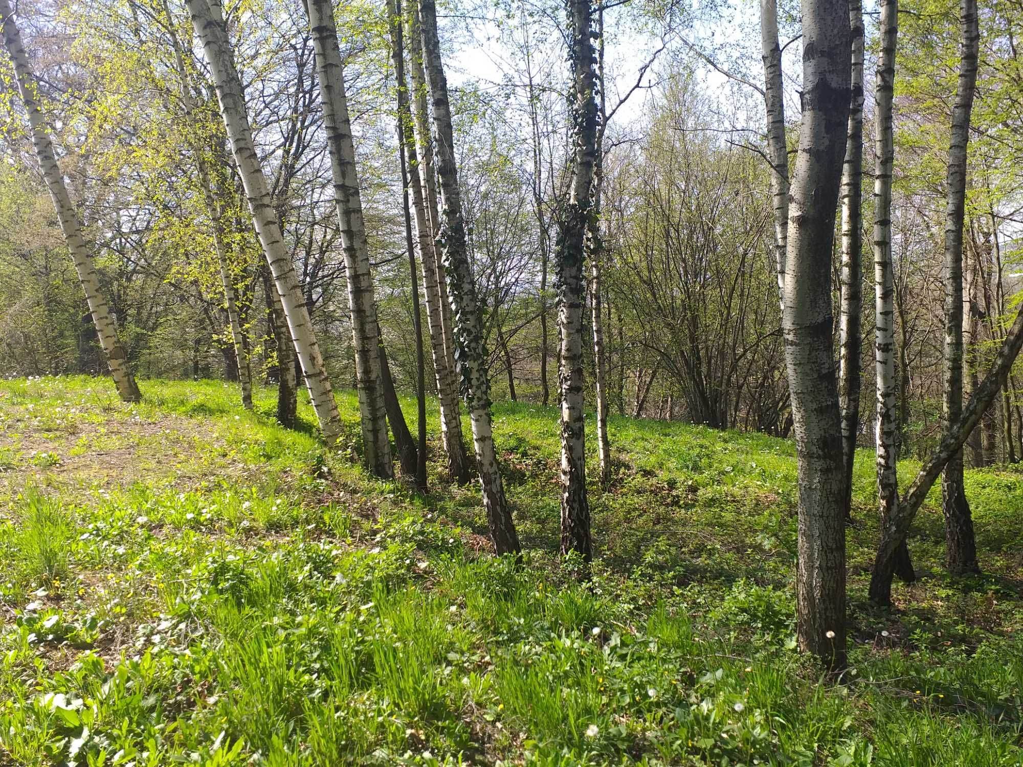 Sprzedam urokliwą działkę rolną w m. Jaroszówka