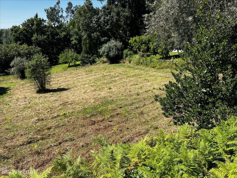 Terreno em Vila Nova de Poiares, Arrifana