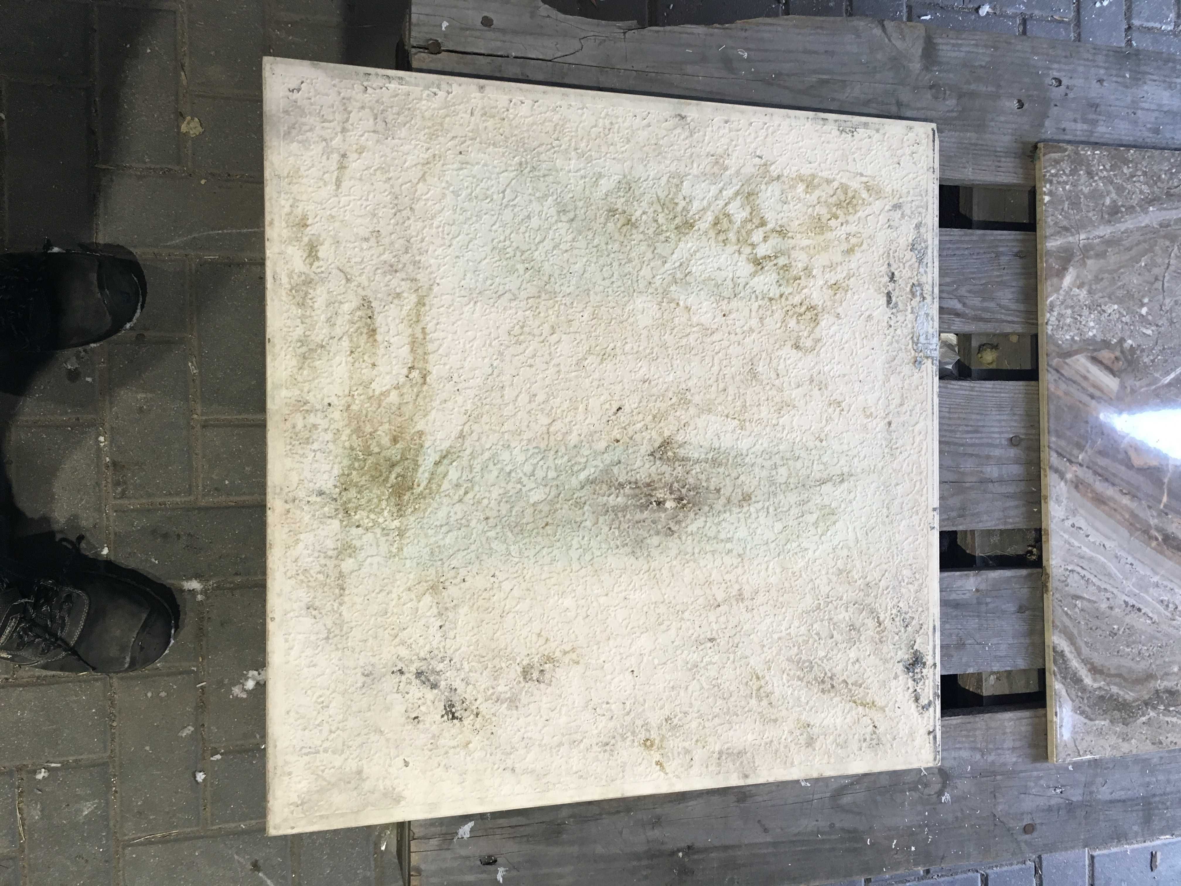 Gres / płytka podłogowa leonardo 59,8x59,8 firmy ECOCERAMIC