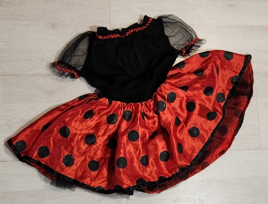 strój biedronki sukienka grochy biedronka 908