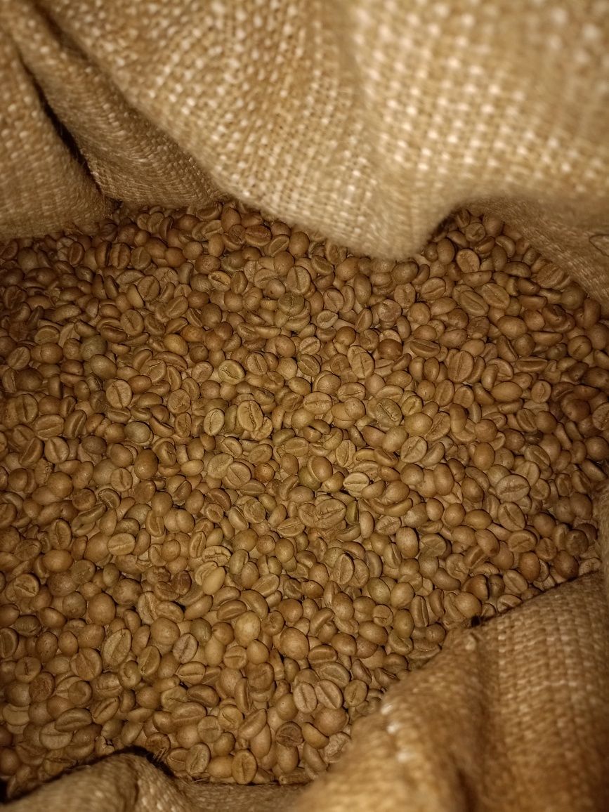 Кофе  зерновой не смаженый, Арабика