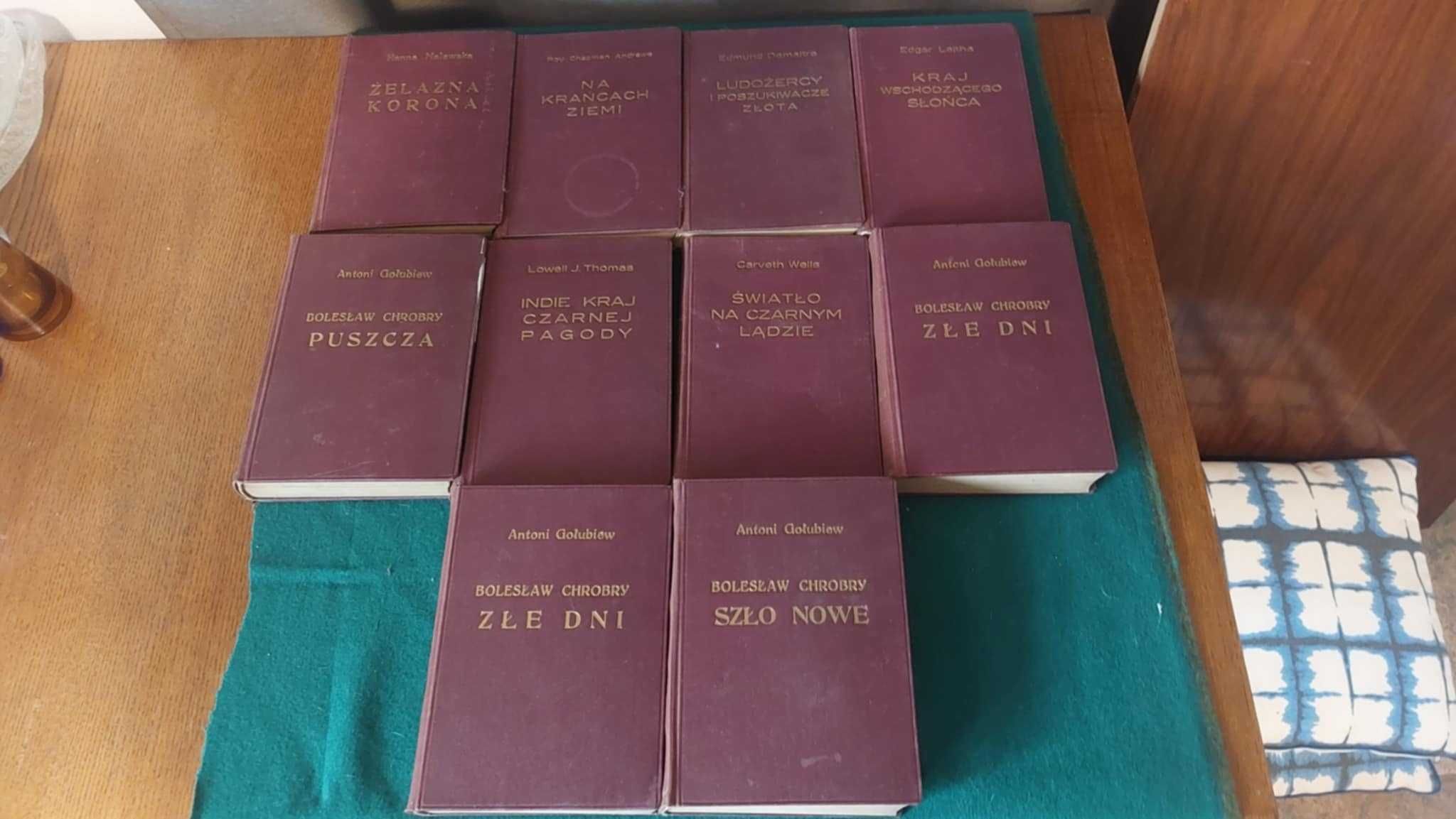 Stare książki –Biblioteka podróżnicza, twarda op