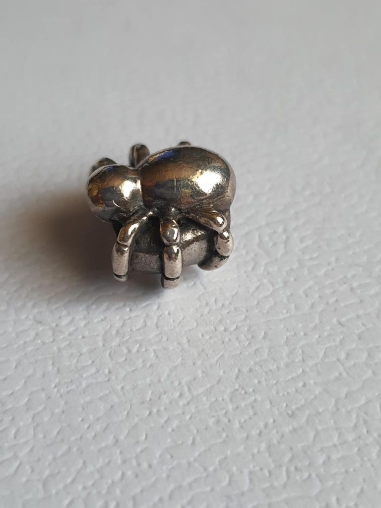 Srebrny charms pająk