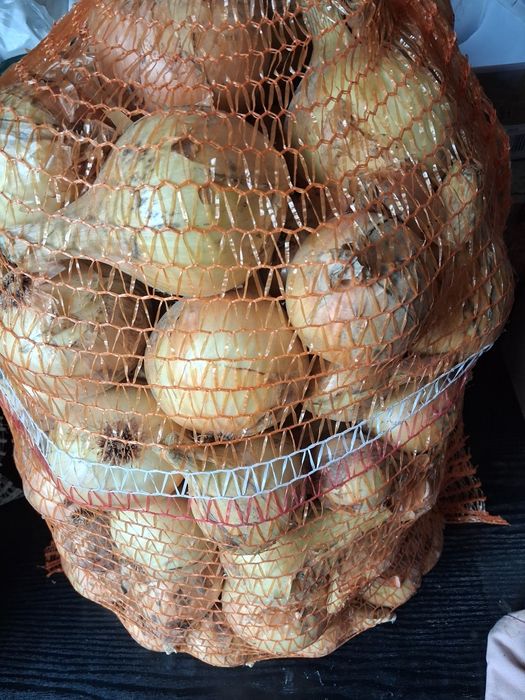 Warzywa Ziemniaki czosnek cebula