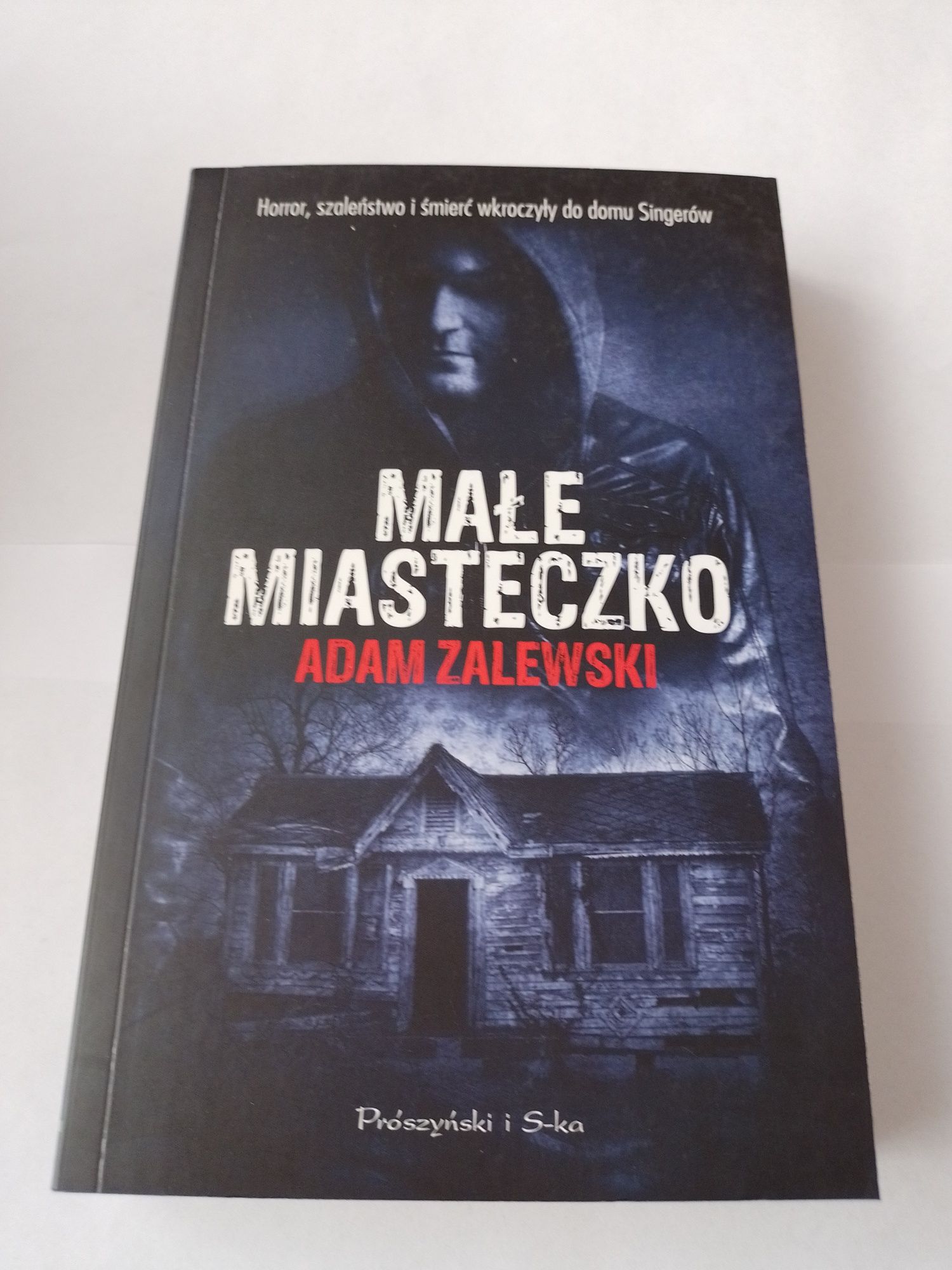 Małe miasteczko /Adam Zalewski