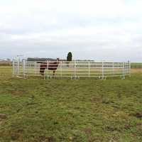 Panele ogrodzeniowe pastwiskowe wygrodzenia dla krów i koni