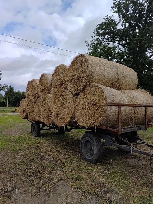 Sprzedam słomę po pszenicy