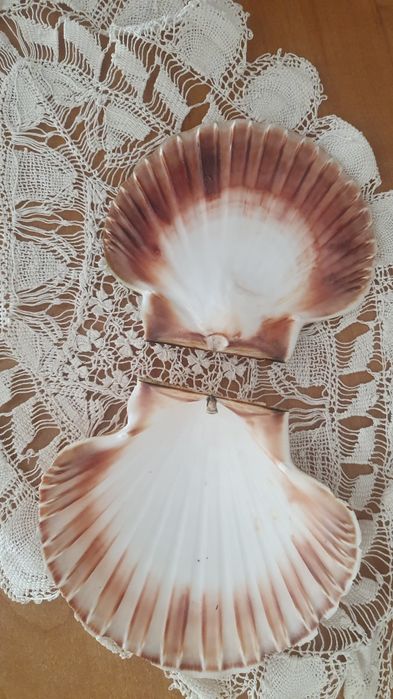 Muszle morskie, piękne, podwójne.