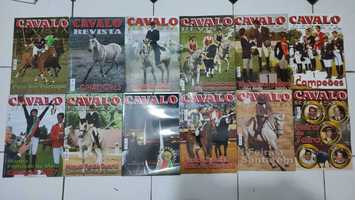 Lote 34 Revistas Cavalo