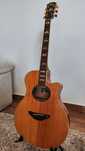 YAMAHA APX 900 NT