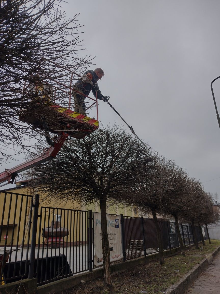 Przycinanie, wycinanie drzew, krzewów. Usługi rębakiem. Koszenie trawy