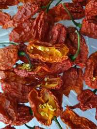 Pimenta Carolina Reaper desidratada