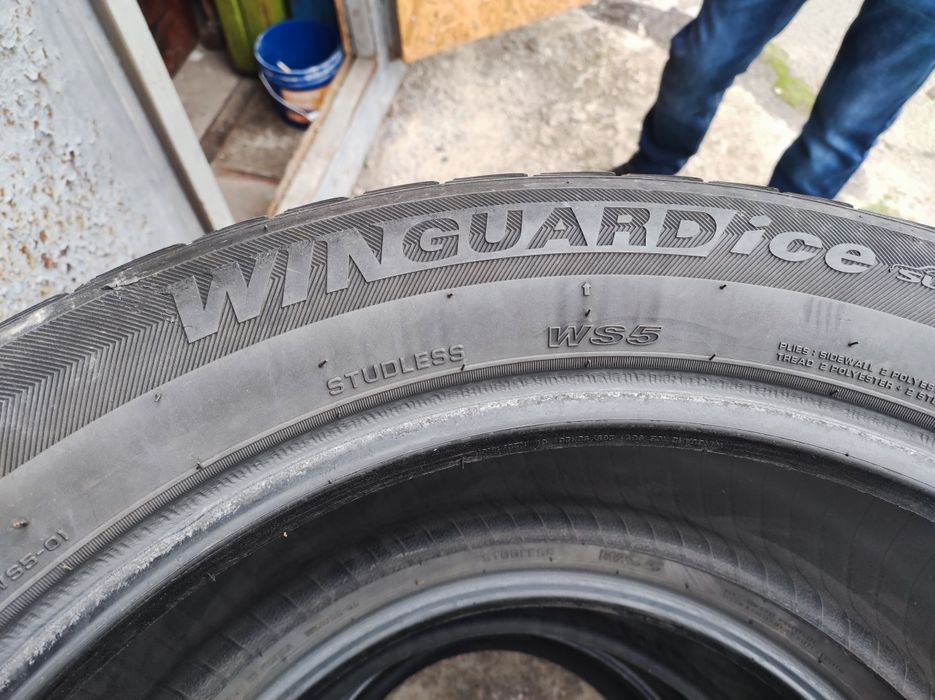 Roadstone (NEXEN) WinGuard Ice  265/50 R20 111T