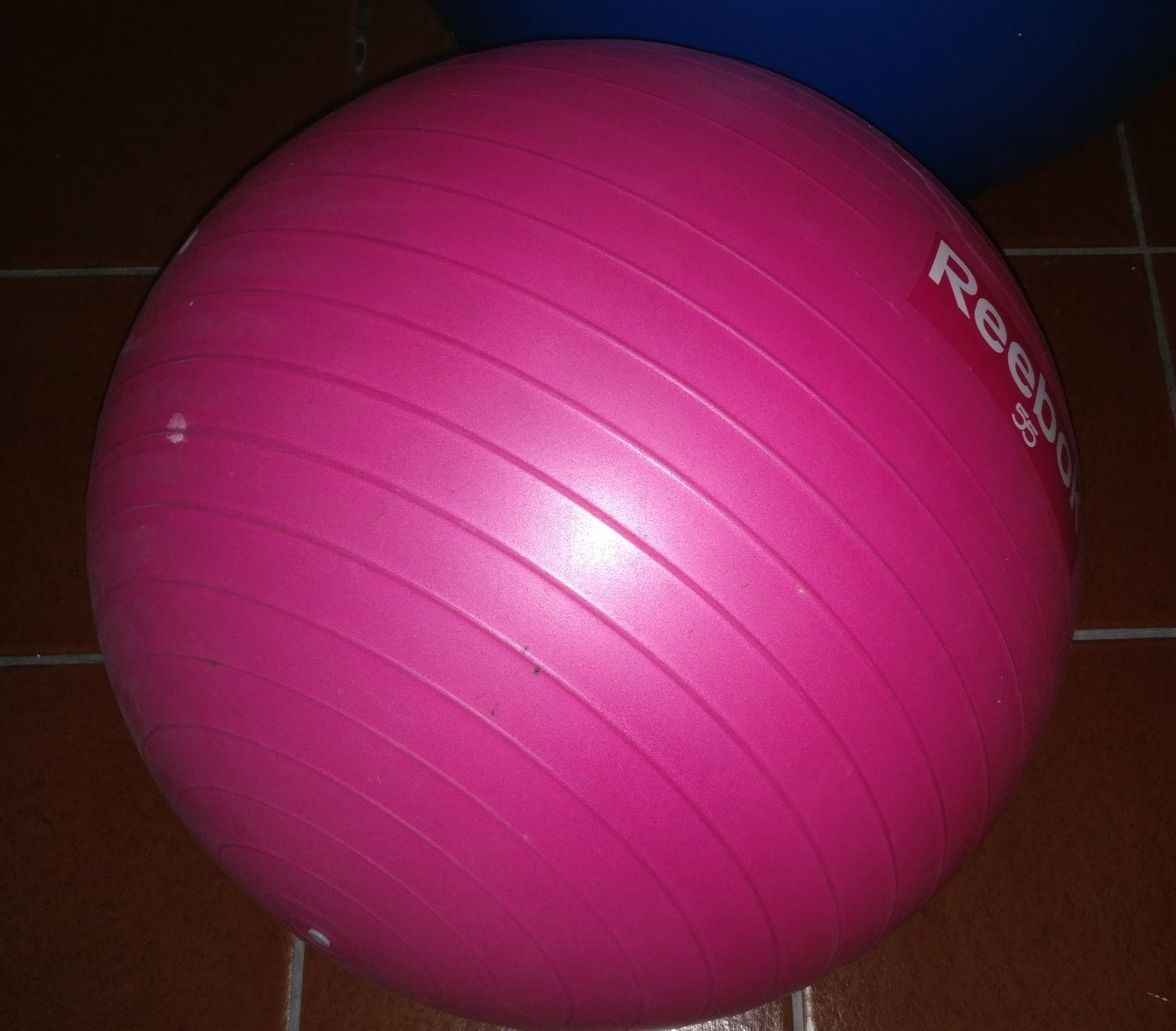 Bola de Yoga Pilates Reebok - Ideal para Tonificar e Alongar o Corpo!