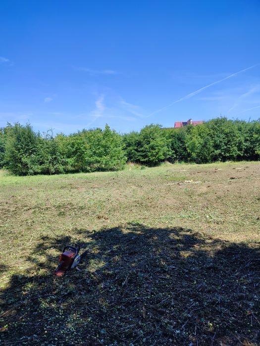 Czyszczenie działek wycinka drzew zrebkowanie koszenie