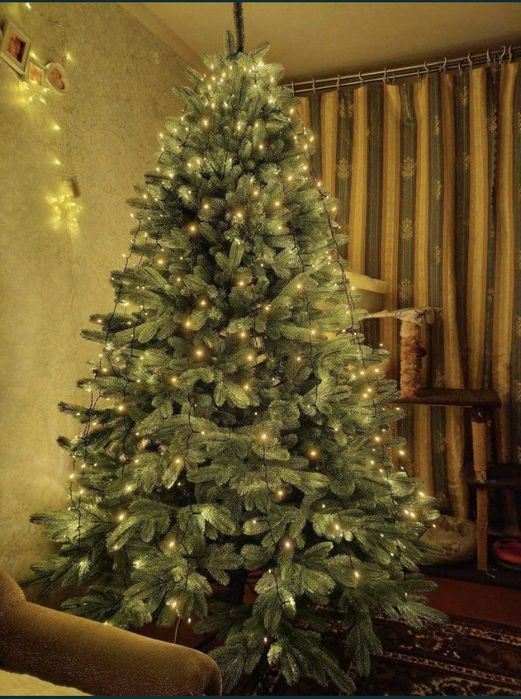 Ялинка/ Елка лита Ковалівська, Віденська, Лапландська