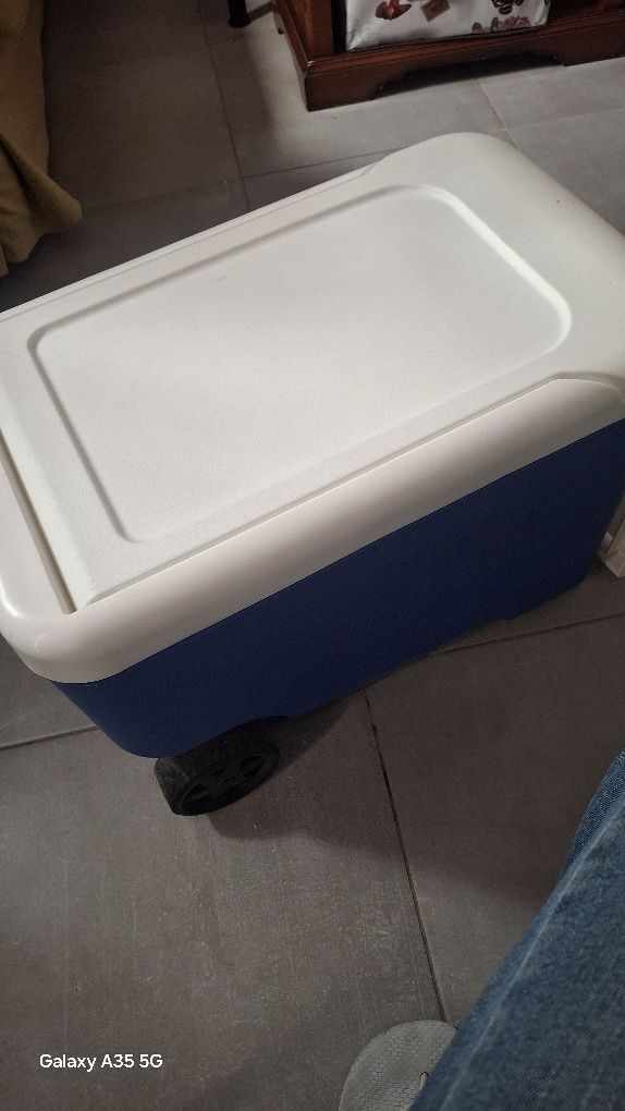 Igloo Coolers Refrigerador portátil  Cool 38 36L