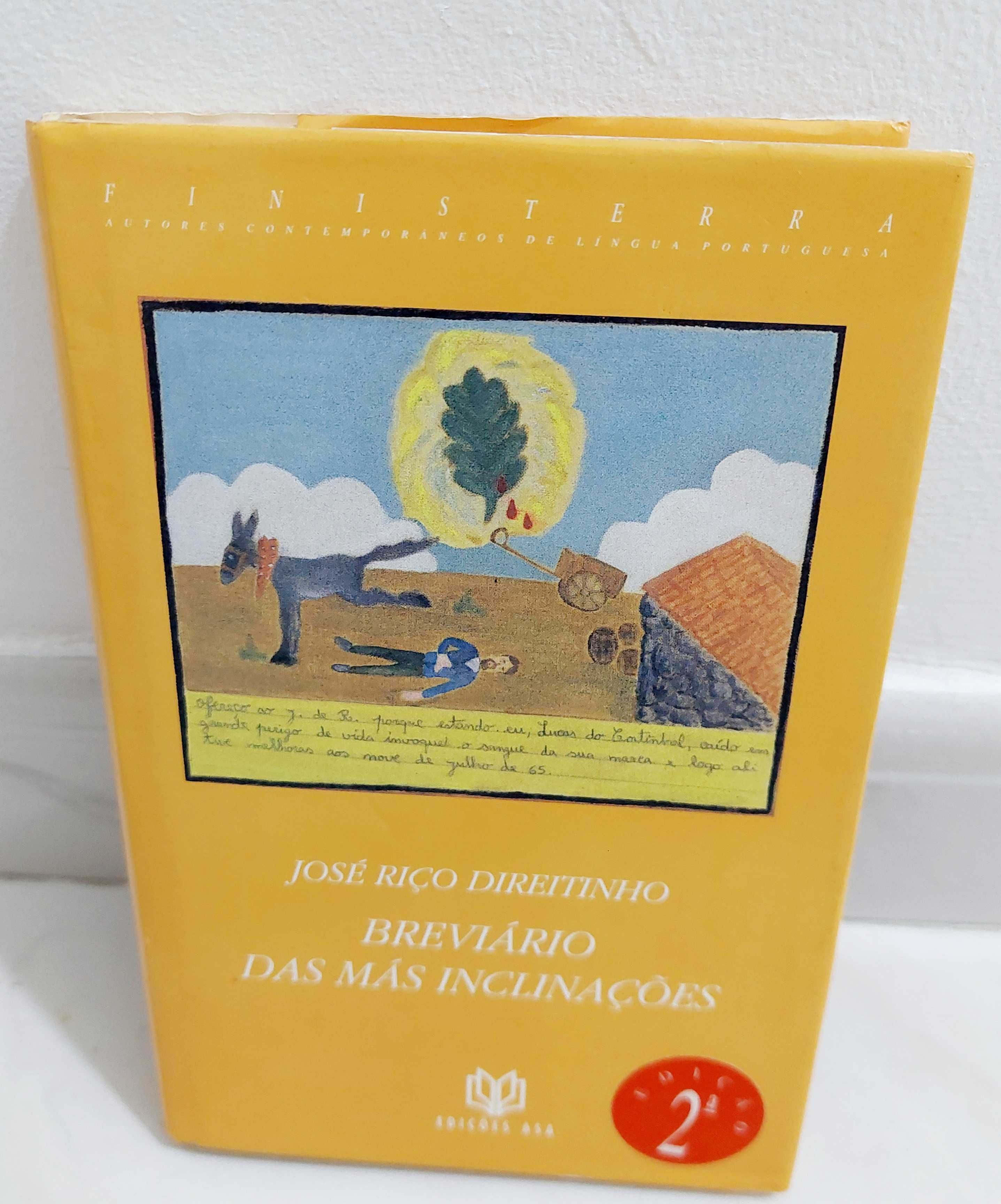 Breviário das más inclinações, José Riço Direitinho