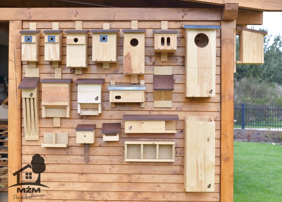 Półka dla jaskółki oknówki