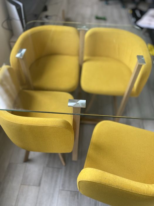 Mesa de Jantar Única nessa cor e com Cadeiras Pet Protect / EasyClean!