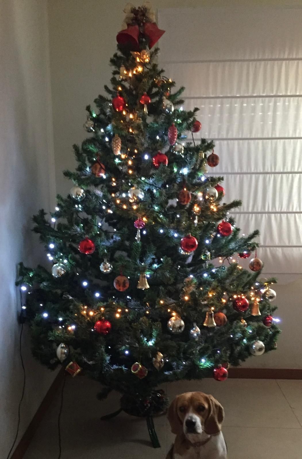 Árvore de natal quase 2m