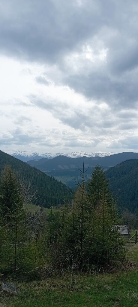 Джипінг. Поїздки в гори.