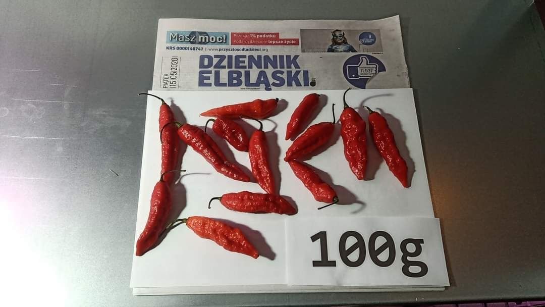 Nasiona Carolina Reaper Red 10szt. i inne