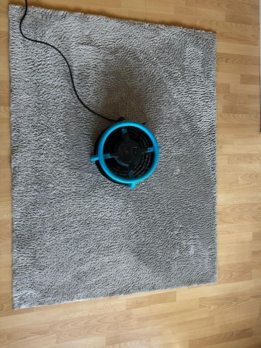 Wynajmę odkurzacz piorący Karcher Puzzi 1/10 + osuszacz dry pod
