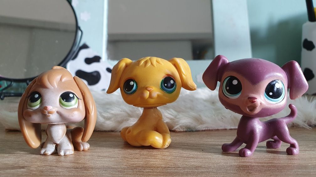 Littlest pet shop 3 szt