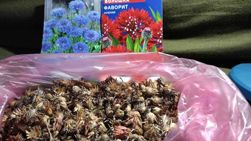 Насіння Волошки Суміш (Синя-Рожева)