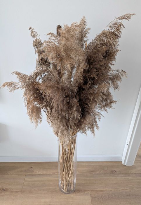 wazon wysoki z trawami ozdobnymi