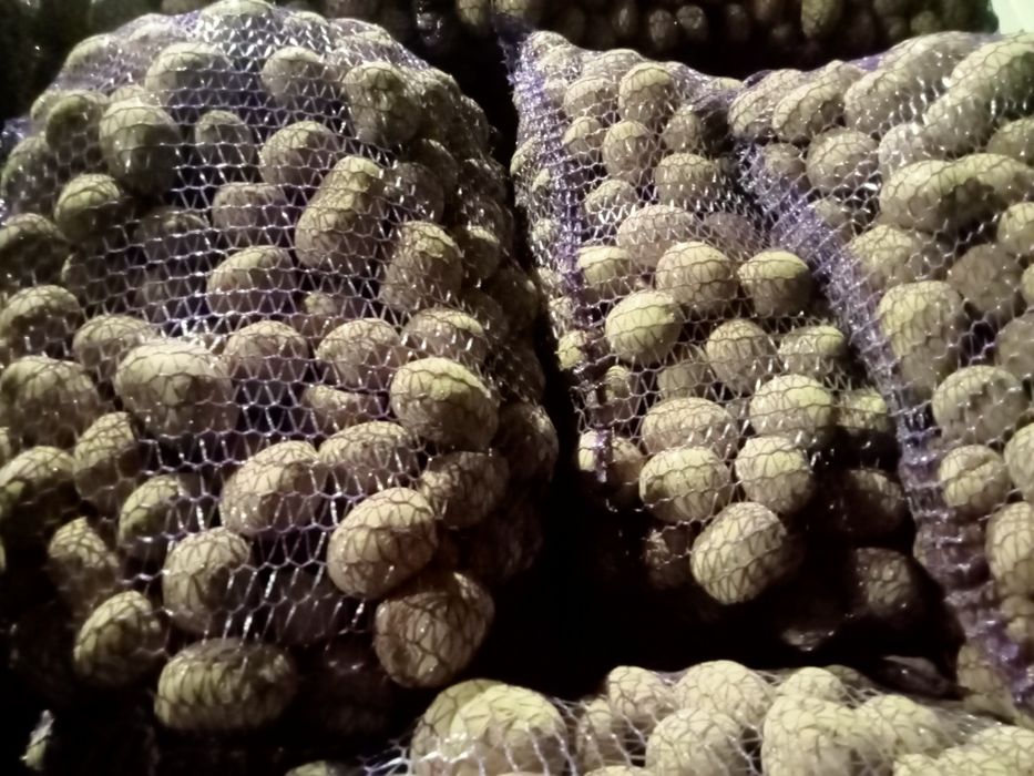 Ziemniaki belarosa, Soraya