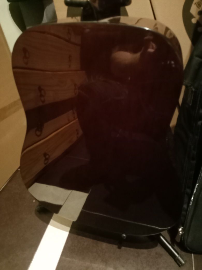 Gitara akustyczna dwunastka