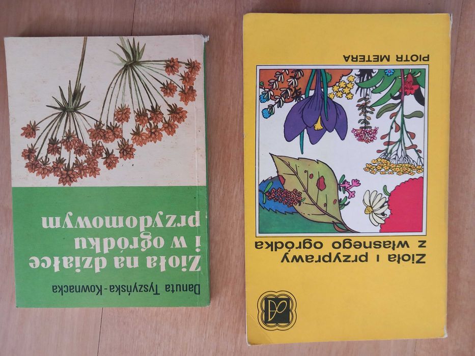 Zioła na działce i w ogródku Tyszyńska Zioła i przyprawy z ogrudka