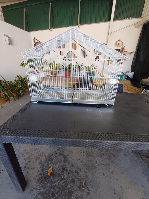 Gaiola Para Papagaio
