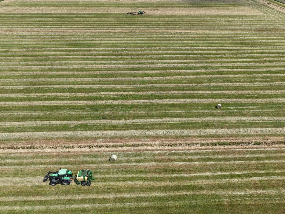 Siano PREMIUM 2025 | Certyfikat EKO | Gwarancja BEZ PLEŚNI | Badania