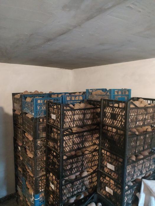 Продам дуже гарна