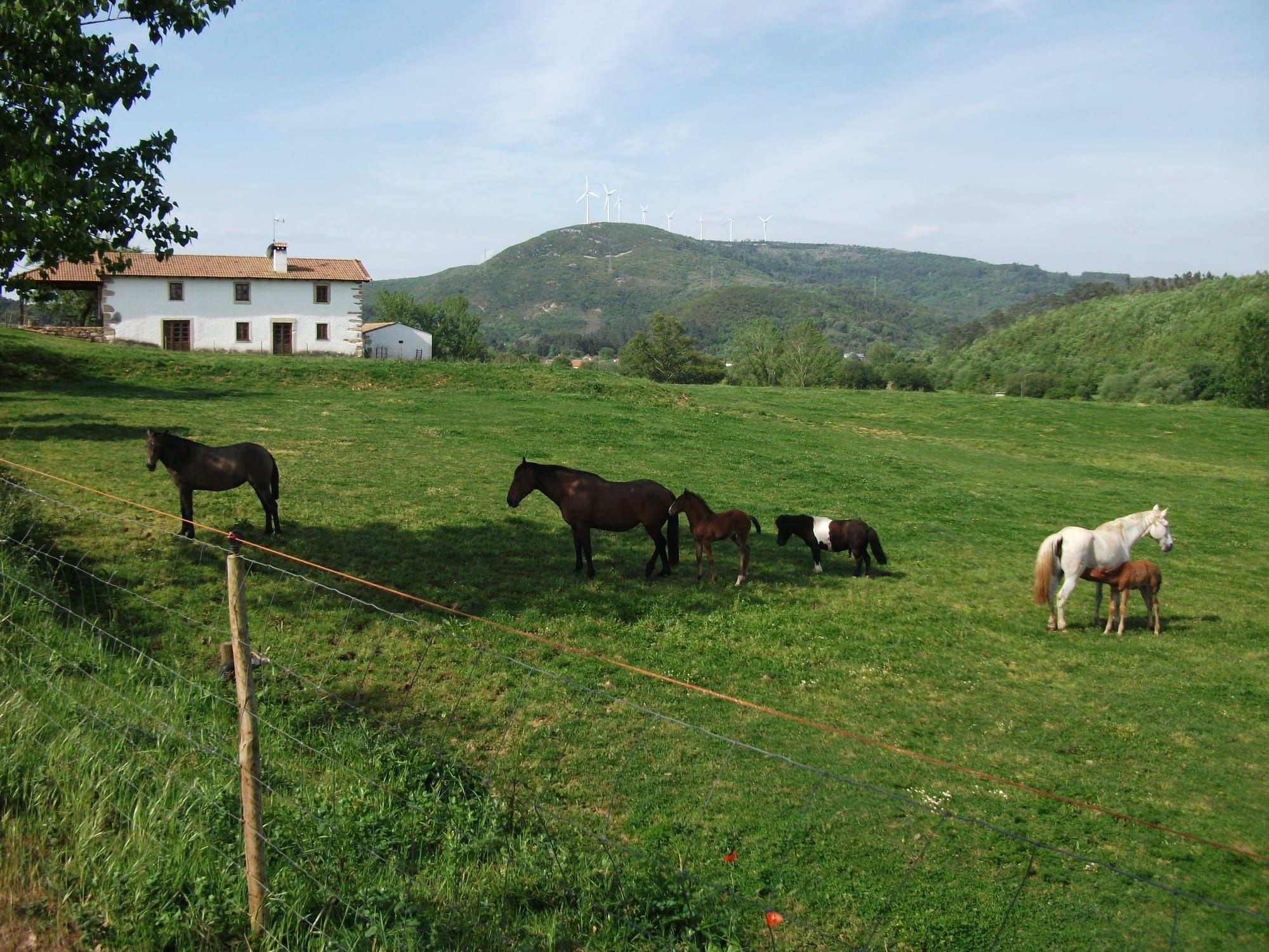 Quinta 11 ha Coimbra /Penela