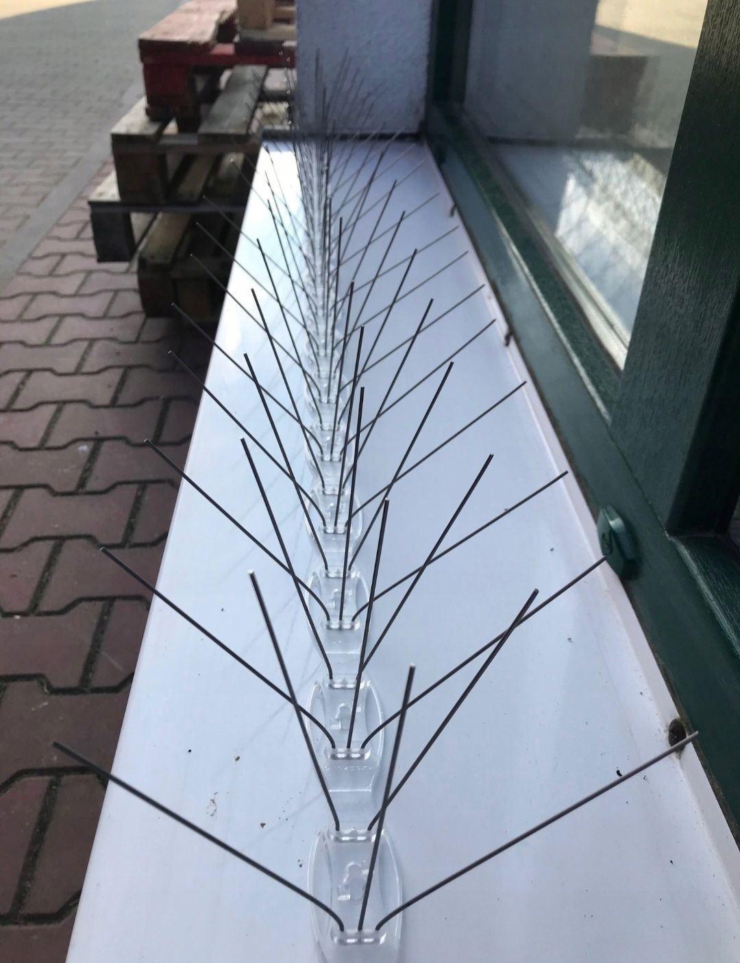 Kolce na ptaki gołębie odstraszające nierdzewne 50CM 20 kolców