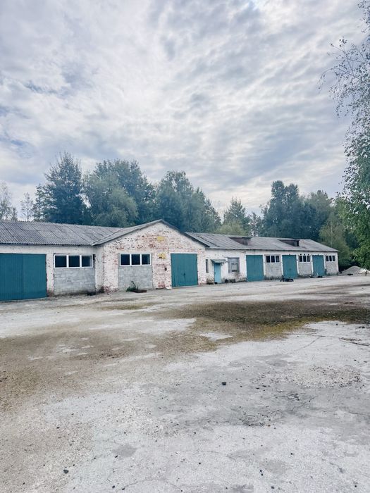 Здам склад/виробництво в Житомирській обл (Малин)