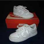 Nike Dunk Low Grey Fog r.38