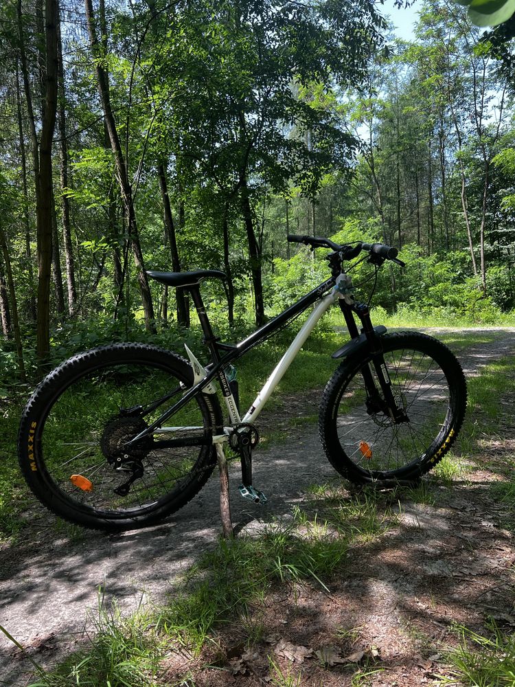 NS Bikes Eccentric [Dh, Enduro, fr, hardtail]